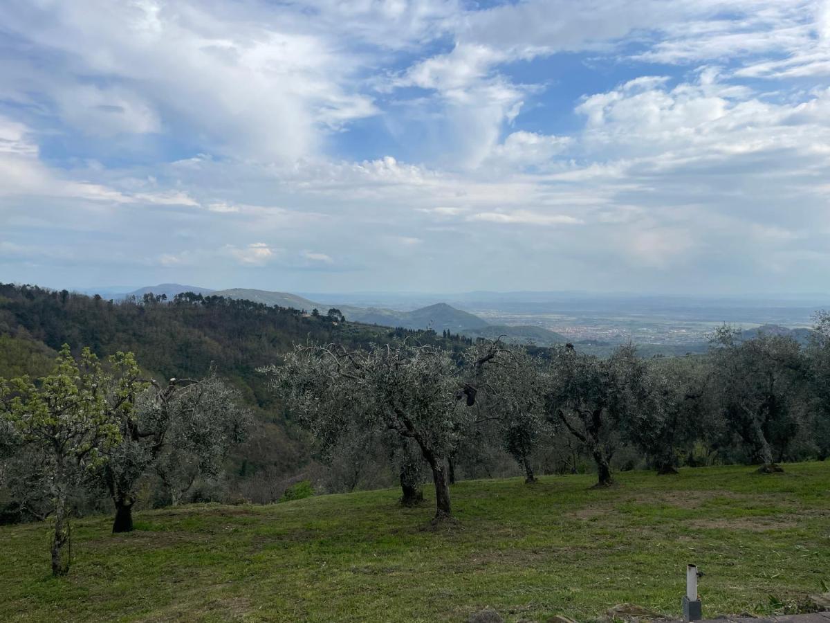 Podere Il Poggio Avaglio Eksteriør bilde