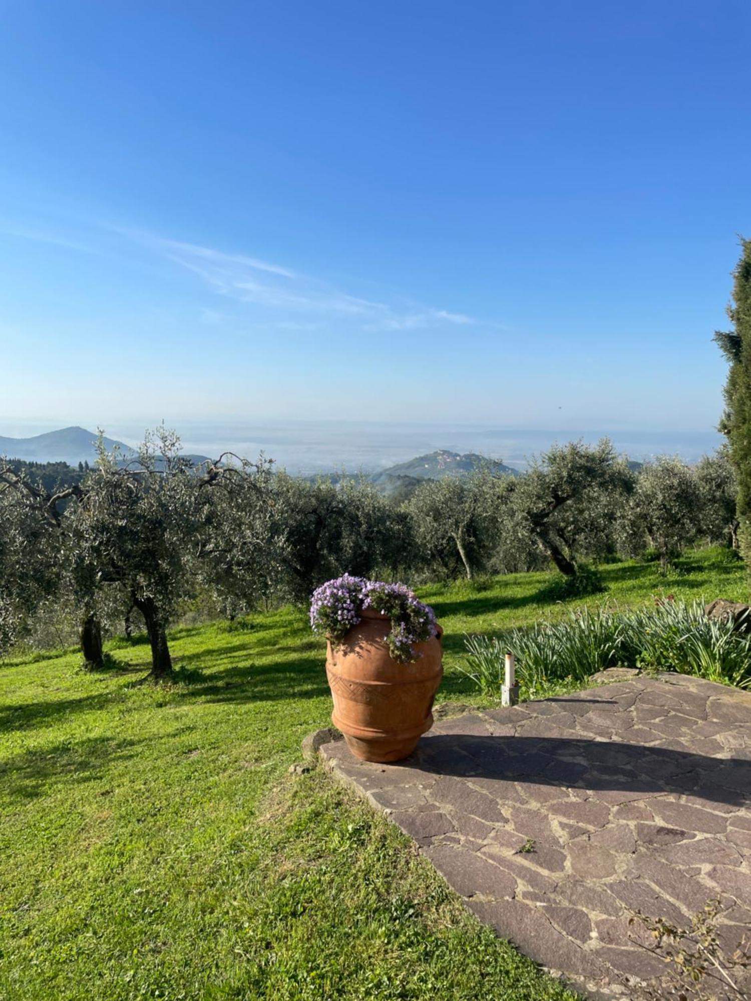 Podere Il Poggio Avaglio Eksteriør bilde